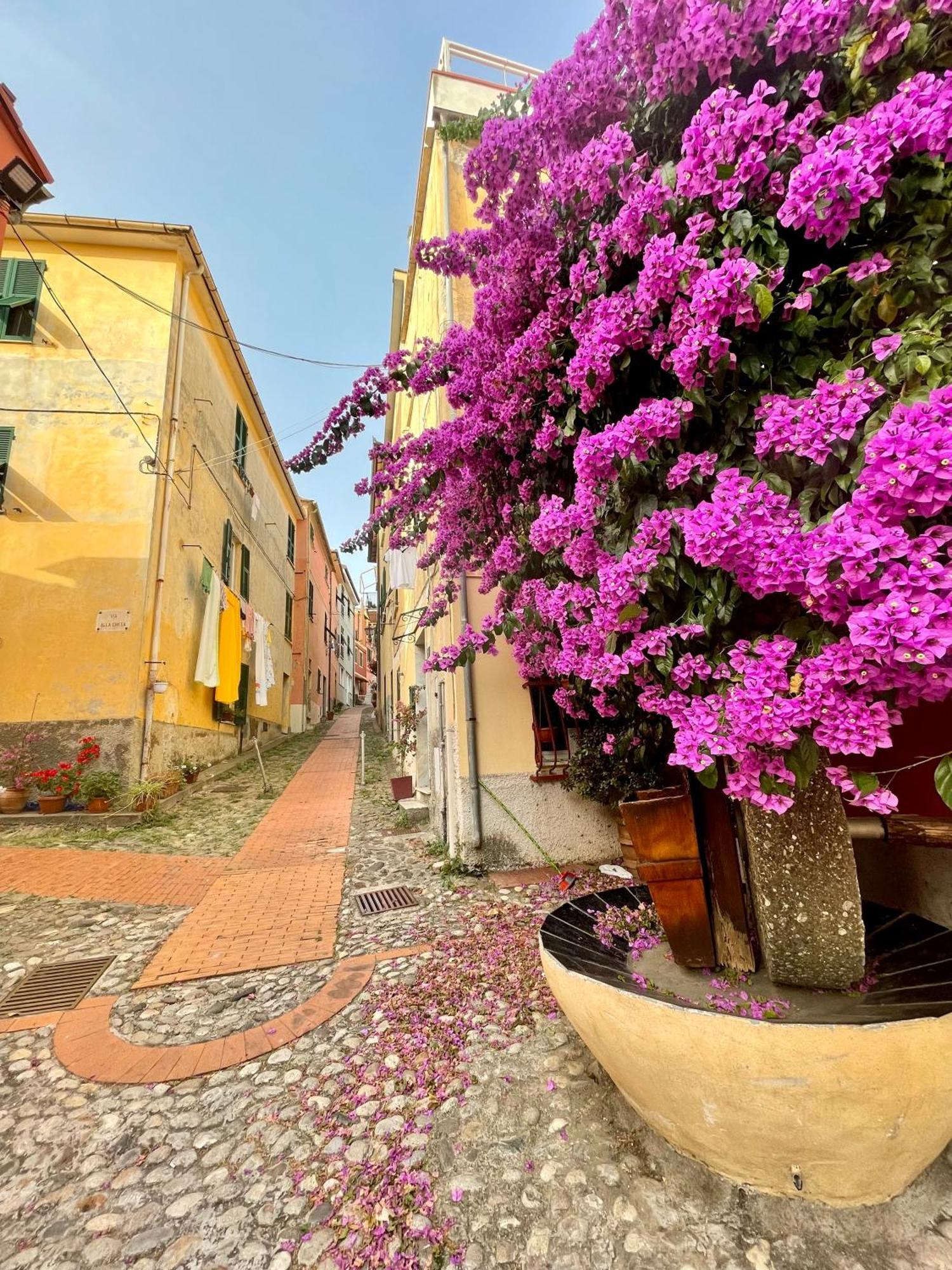 La Monstera Rooms Sestri Levante Exteriér fotografie