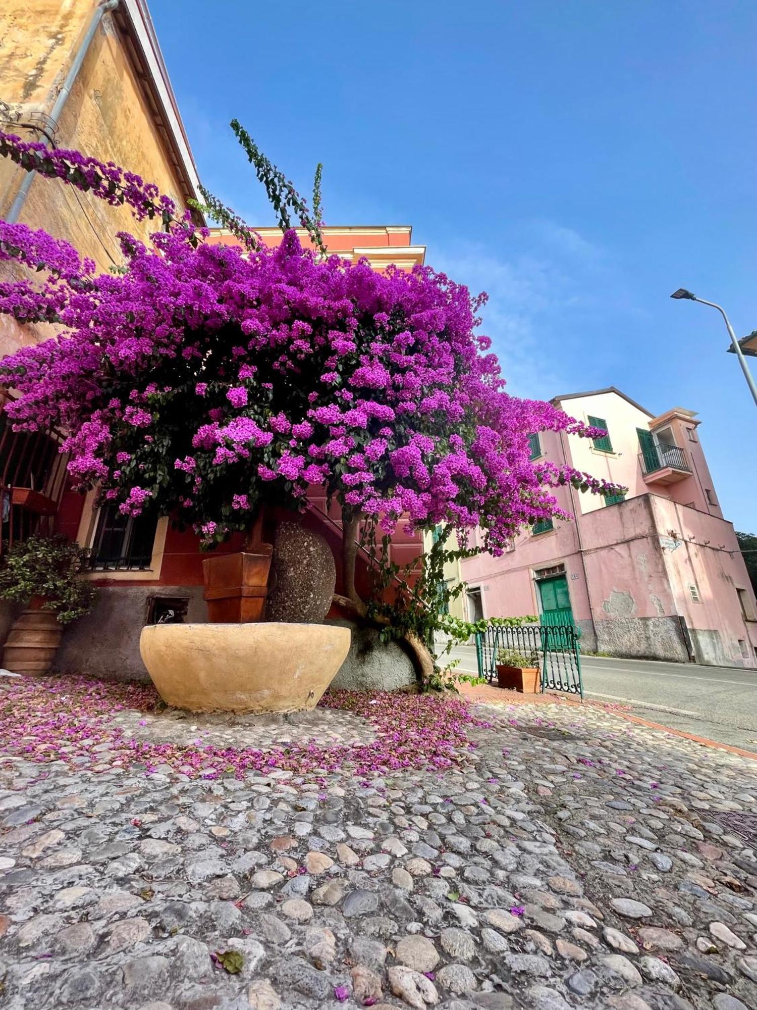 La Monstera Rooms Sestri Levante Exteriér fotografie